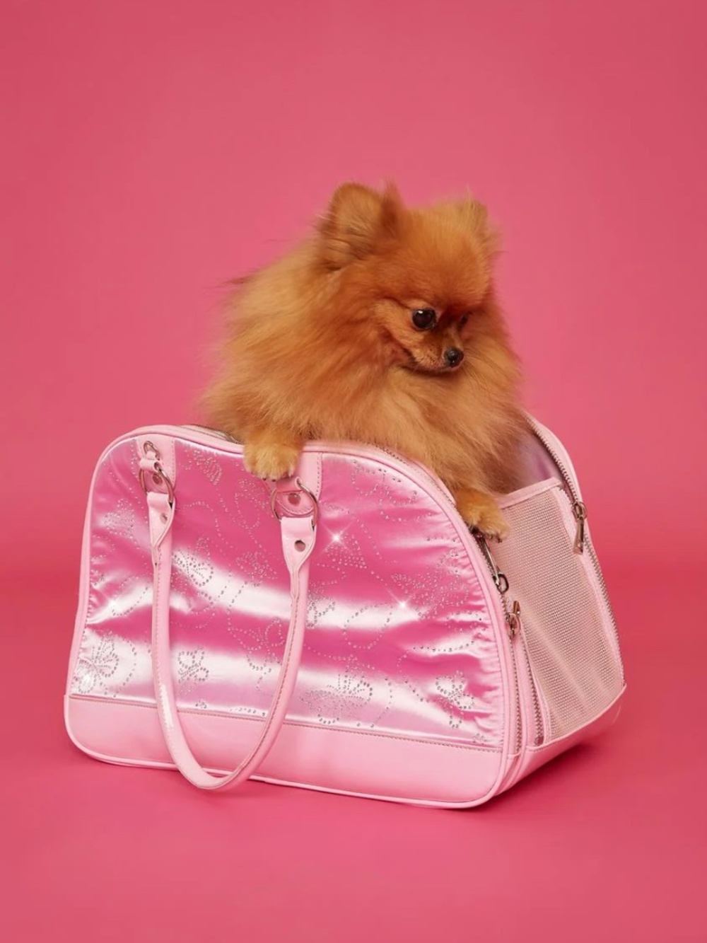NWT PRINCESS PARIS JR. DOG CARRIER - Picture 2 of 3